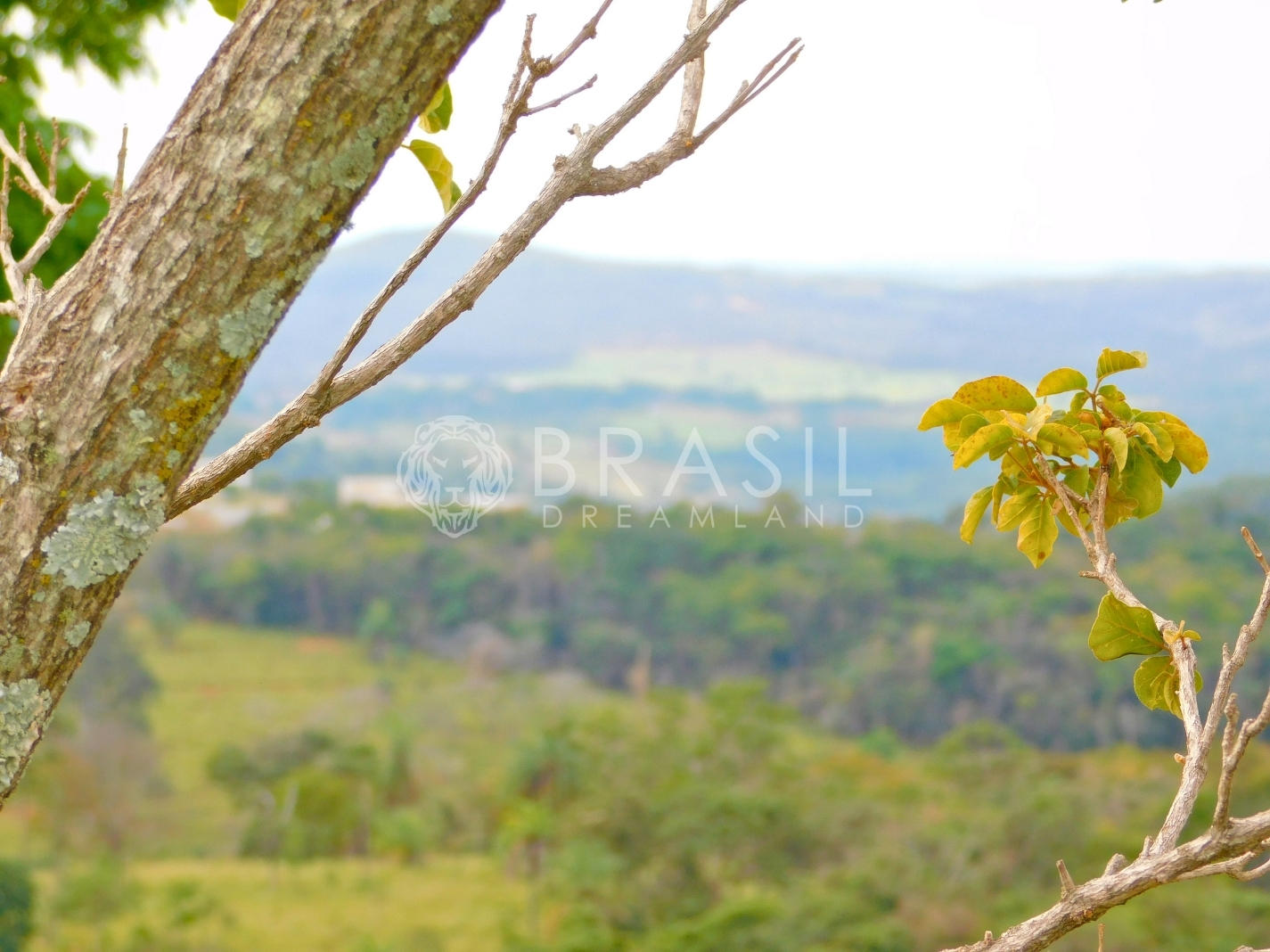 Lote Terra Vista – Brasil Dream Land Lote Terra Vista - Brasil Dream Land