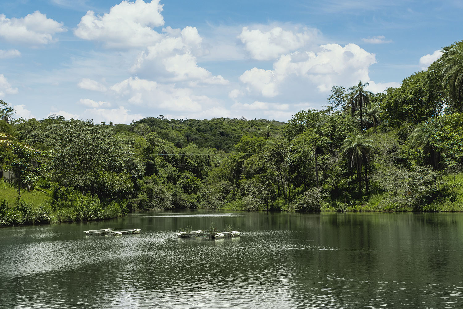 64dfd210787f1e76c78a101c_Cópia de IMG_2820