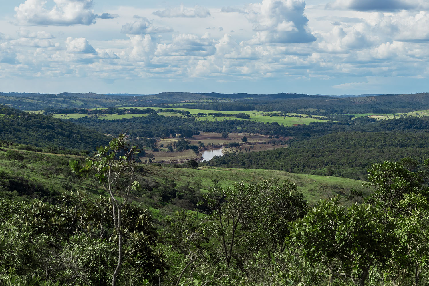 64dfd210787f1e76c78a1022_Cópia de IMG_3235-1