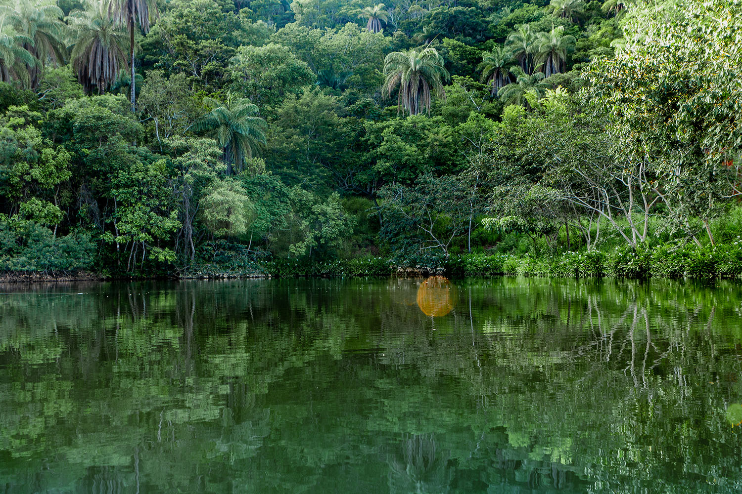 64dfd210787f1e76c78a1027_Cópia de IMG_3422