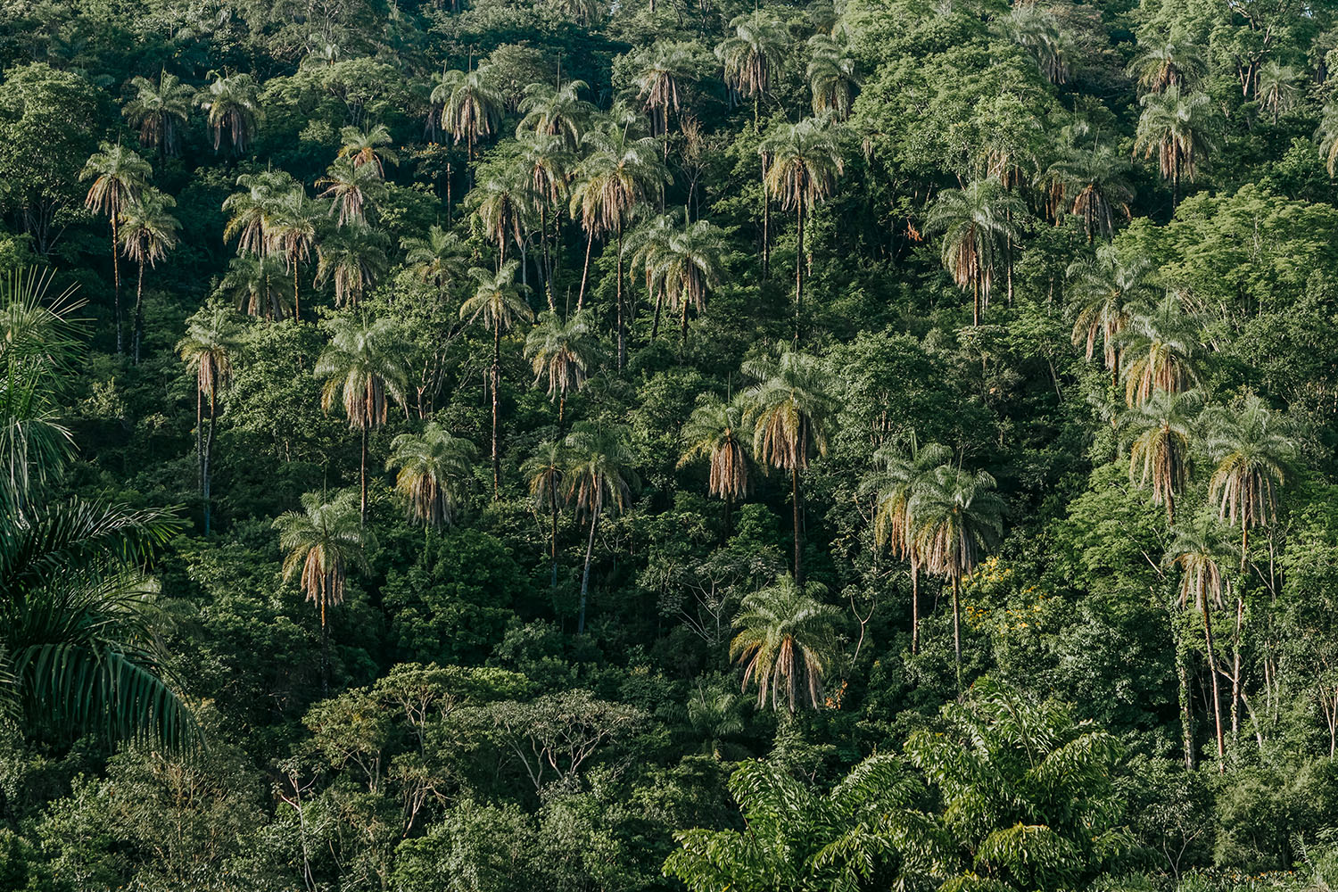 64dfd210787f1e76c78a1029_Cópia de IMG_3393