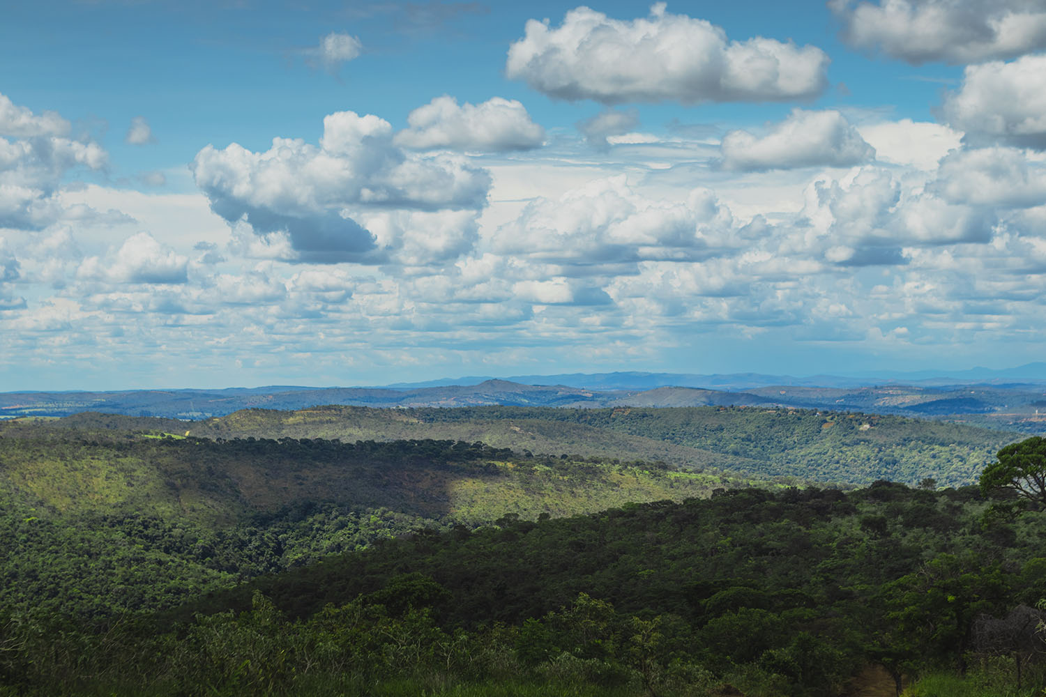 64dfd210787f1e76c78a1031_Cópia de IMG_3052