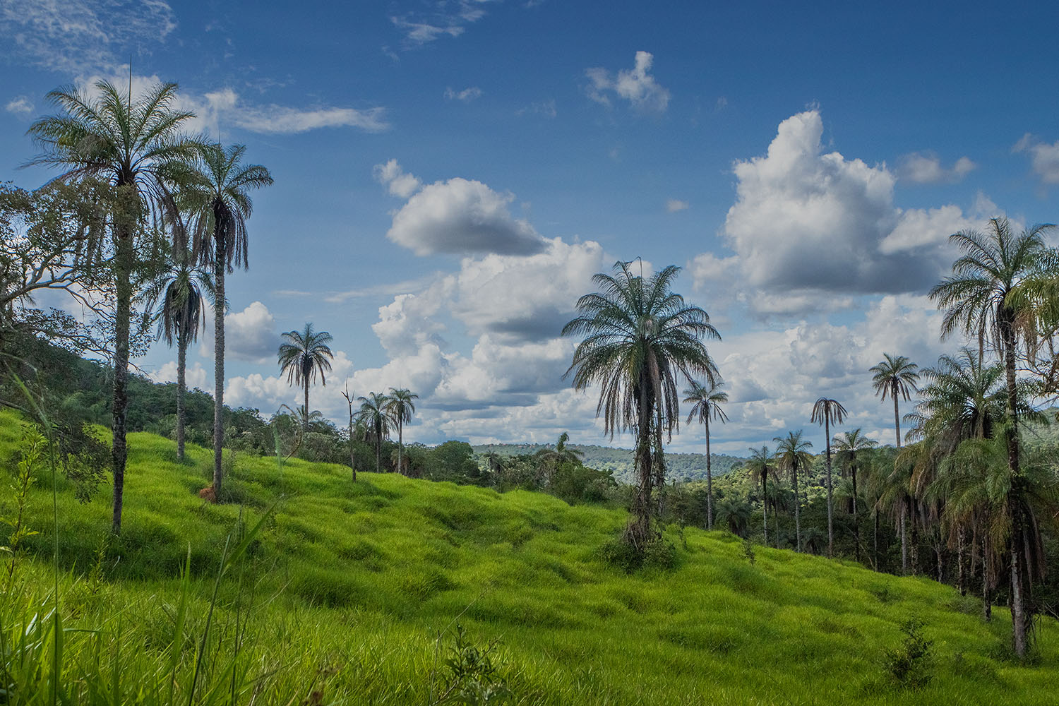 64dfd210787f1e76c78a1035_Cópia de IMG_3120