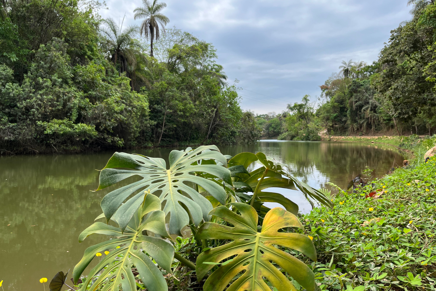 651c79341f2e9d7e32373f98_pórtico-terras-verdes