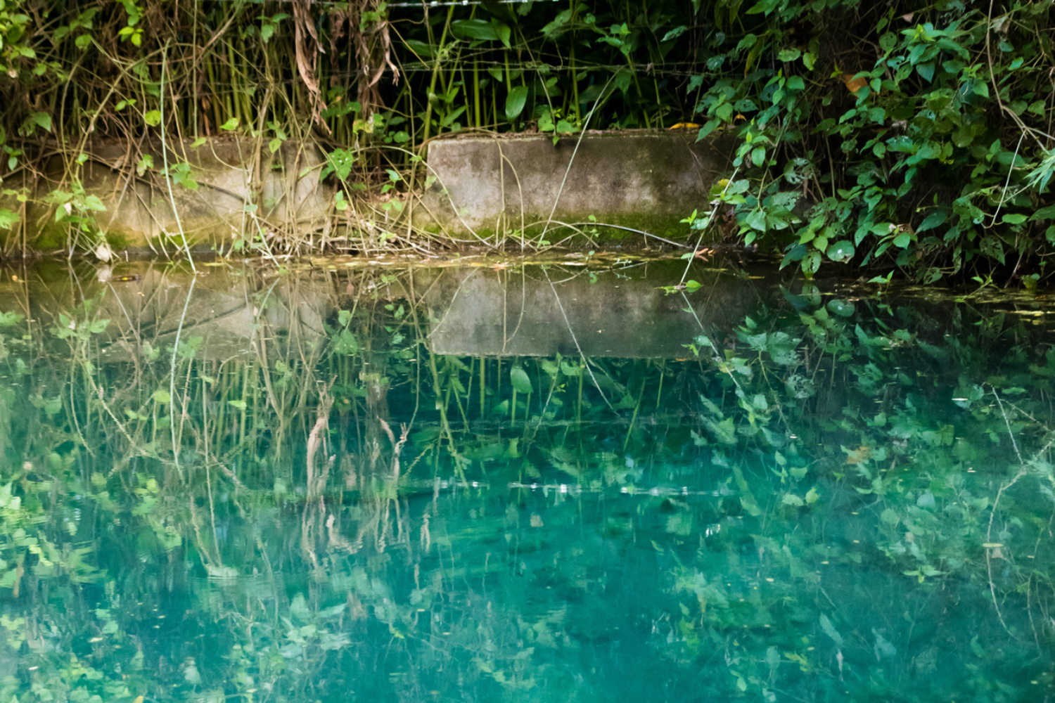 651c793d5b896d4d4fd3e1ab_pórtico-terras-verdes (9)