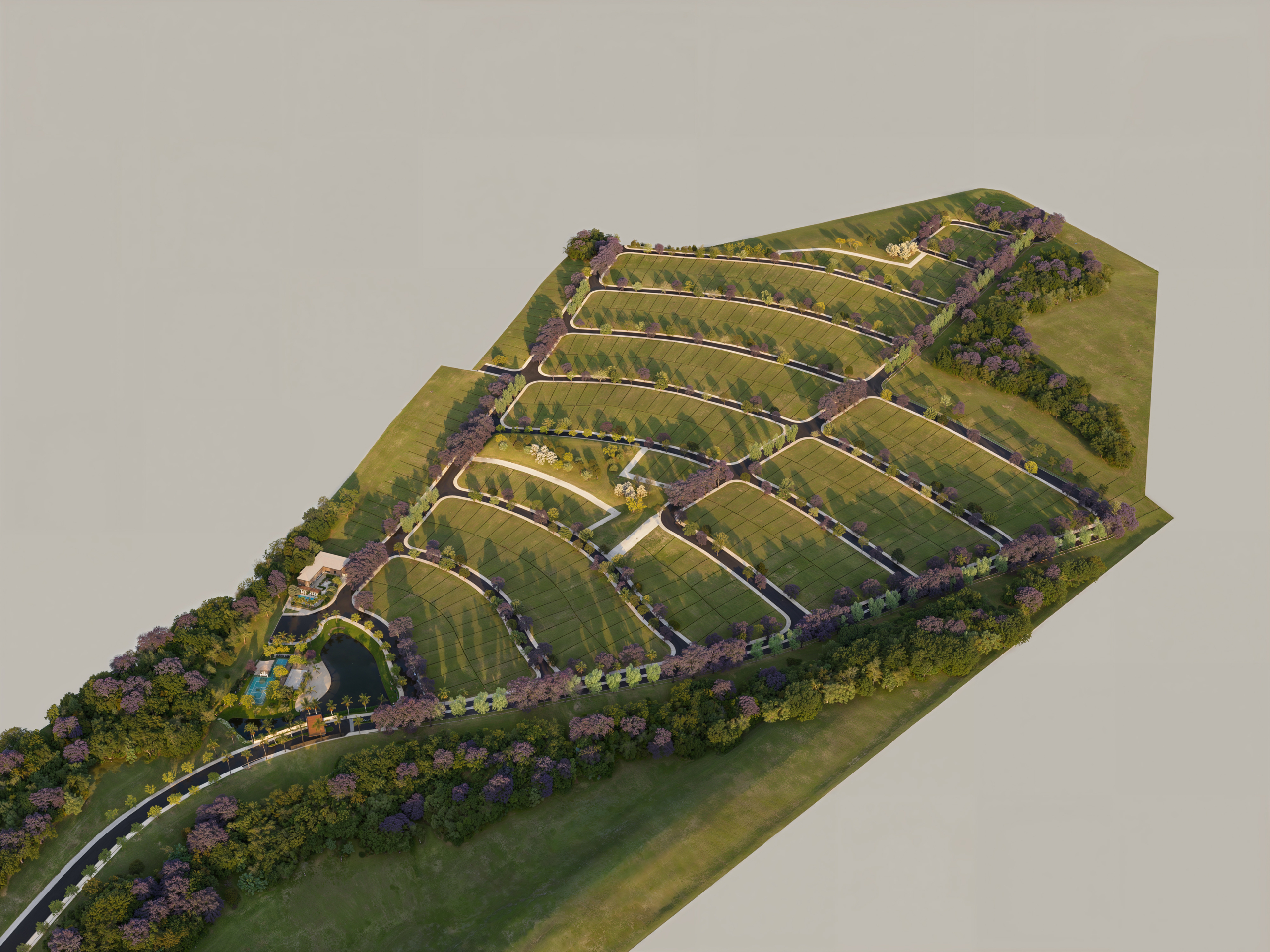 CELEBRATION_MASTERPLAN