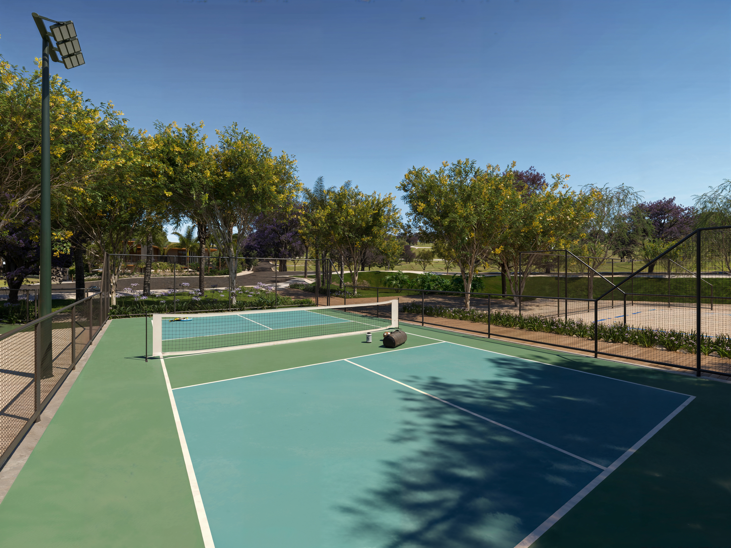 CELEBRATION_PICKLEBALL