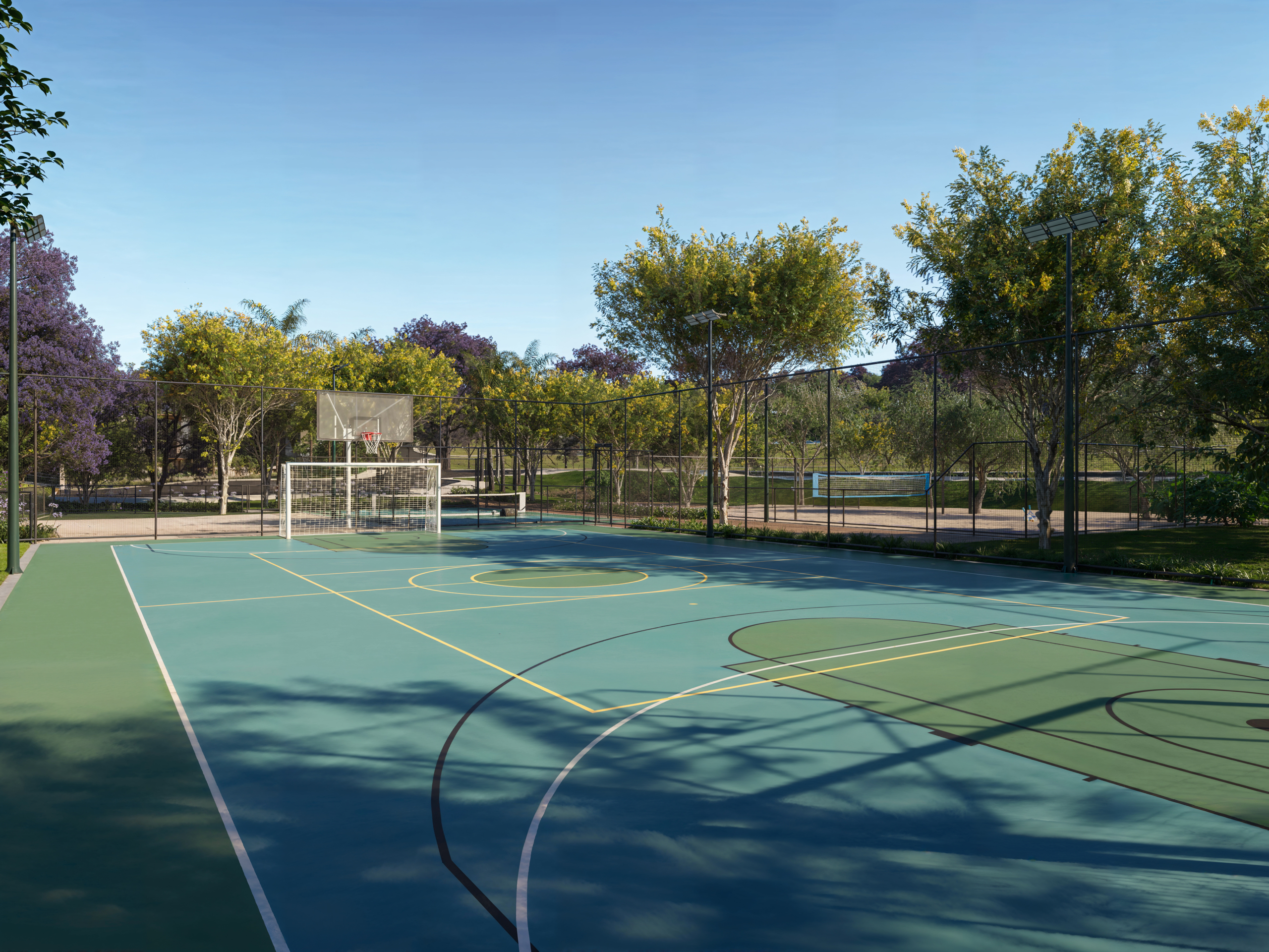 CELEBRATION_POLIESPORTIVA