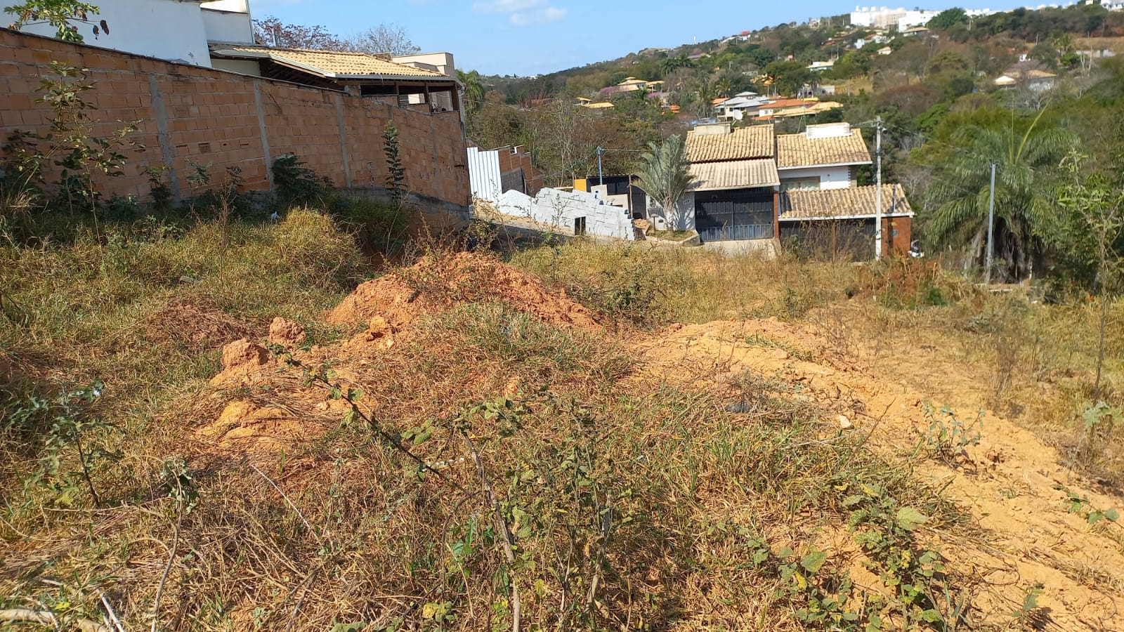 WhatsApp Image 2025-07-20 at 20.04.15 (1)