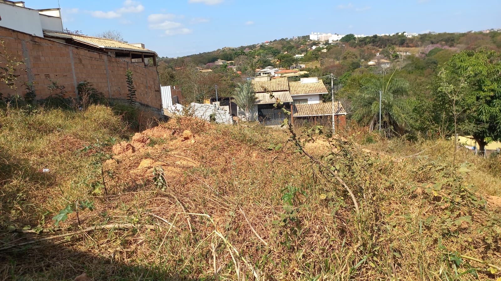 WhatsApp Image 2025-07-20 at 20.04.15 (2)