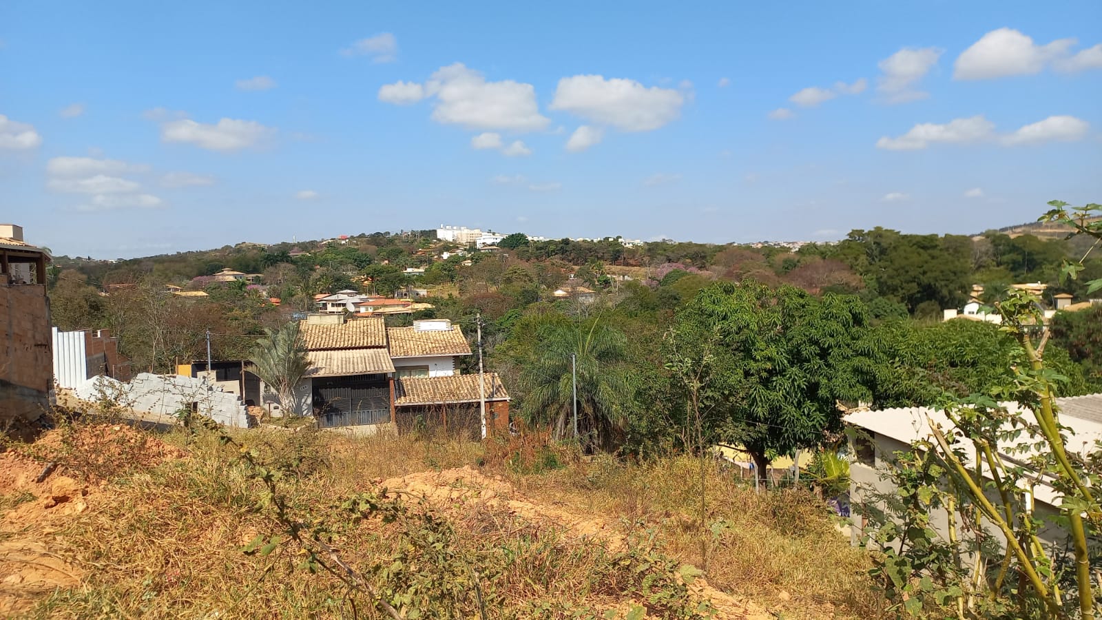 WhatsApp Image 2025-07-20 at 20.04.16