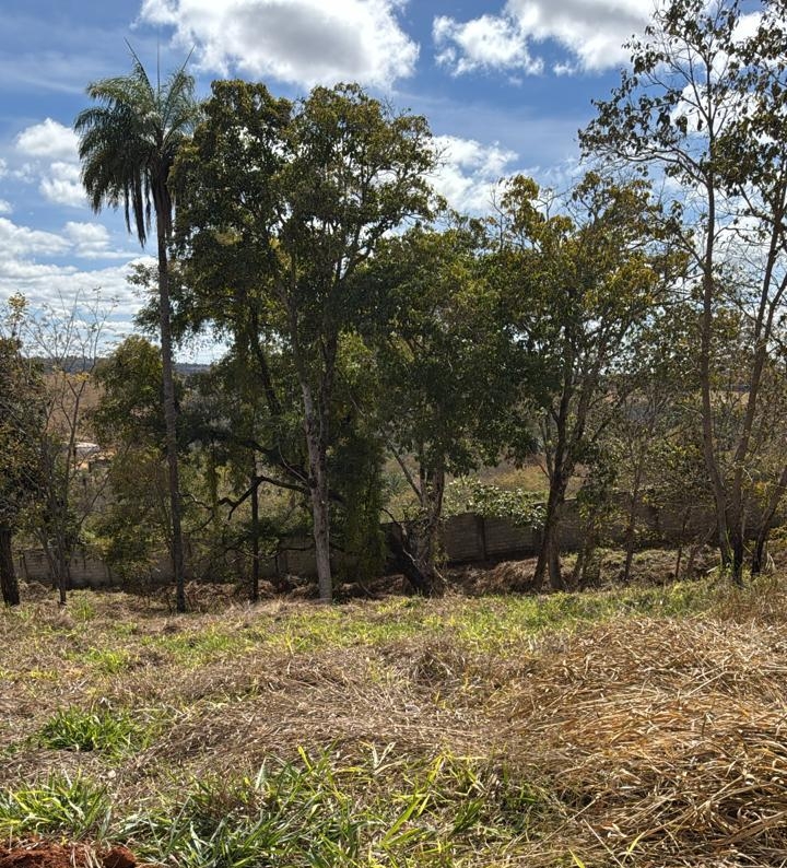 WhatsApp Image 2025-11-26 at 10.00.37