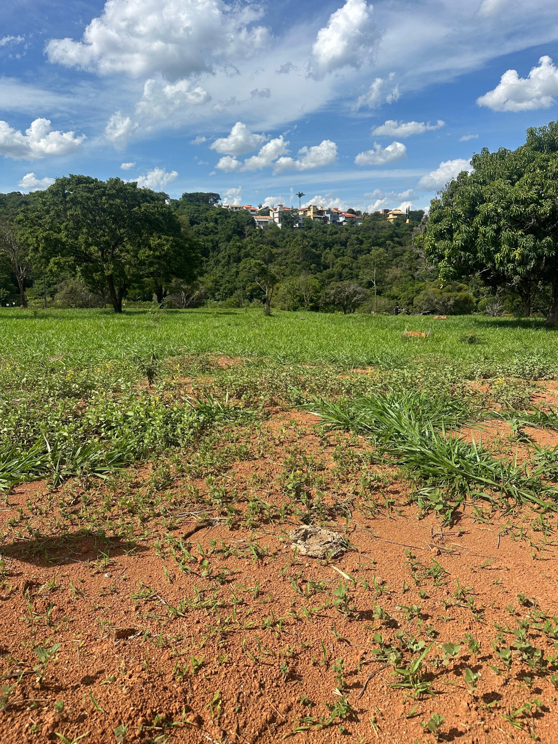 WhatsApp Image 2025-11-26 at 14.48.50 (1)