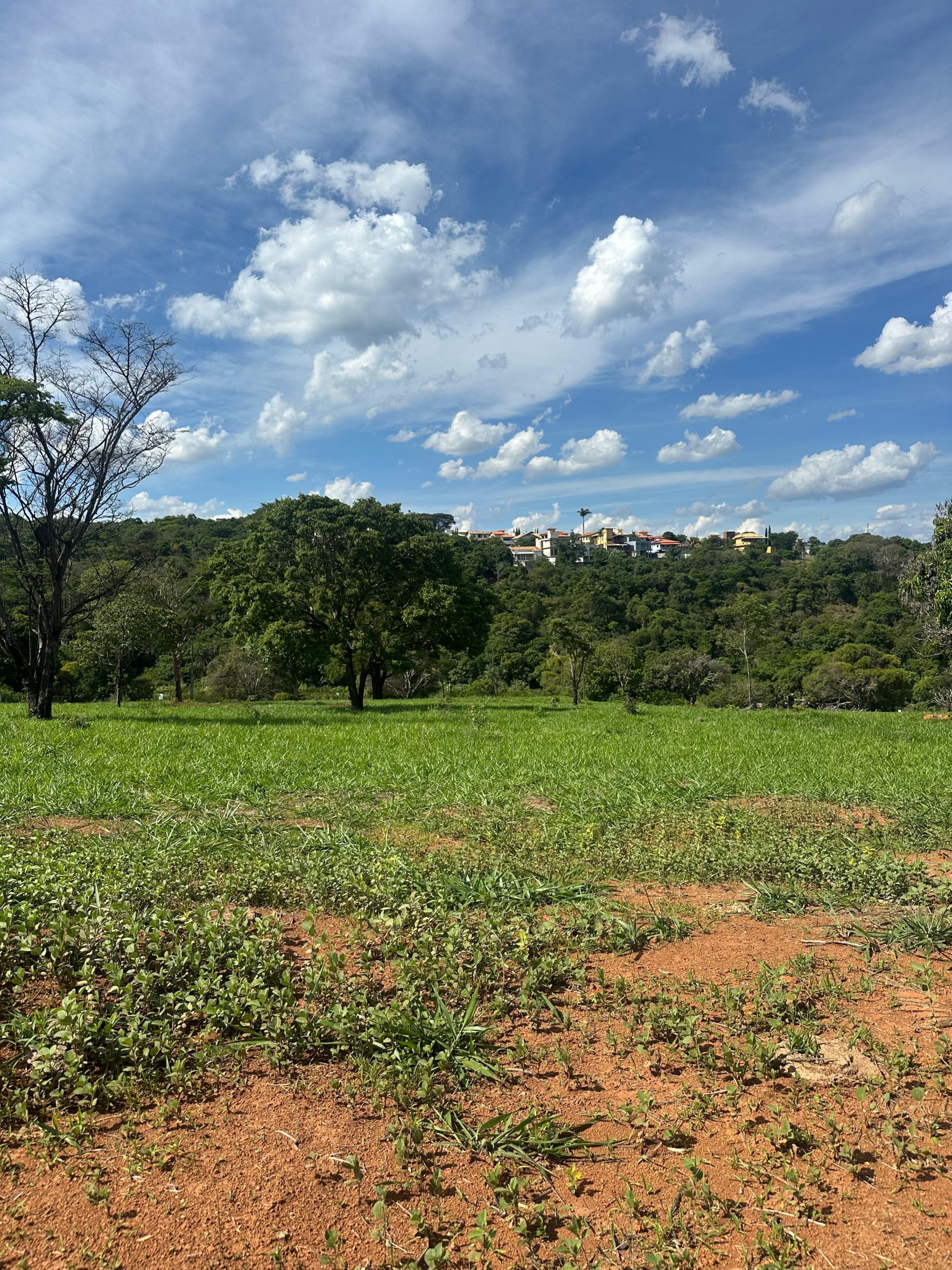 WhatsApp Image 2025-11-26 at 14.48.50 (2)