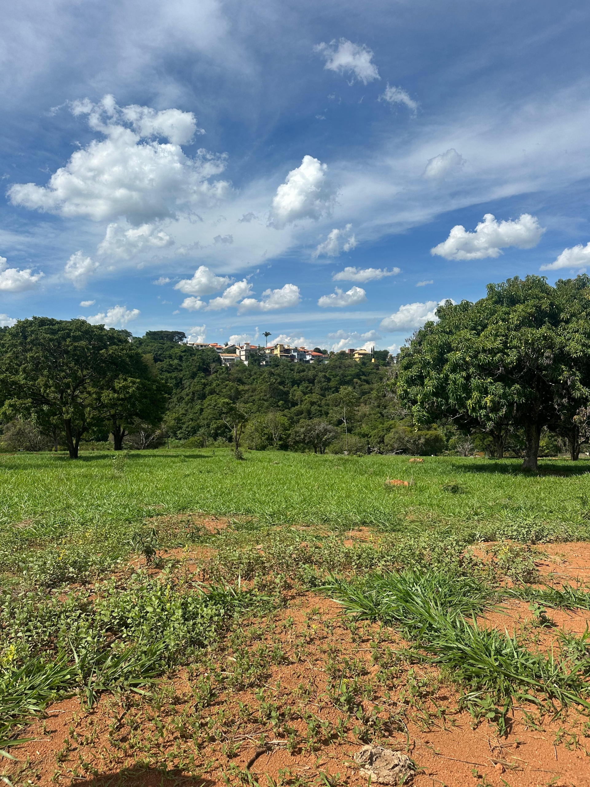 WhatsApp Image 2025-11-26 at 14.48.51