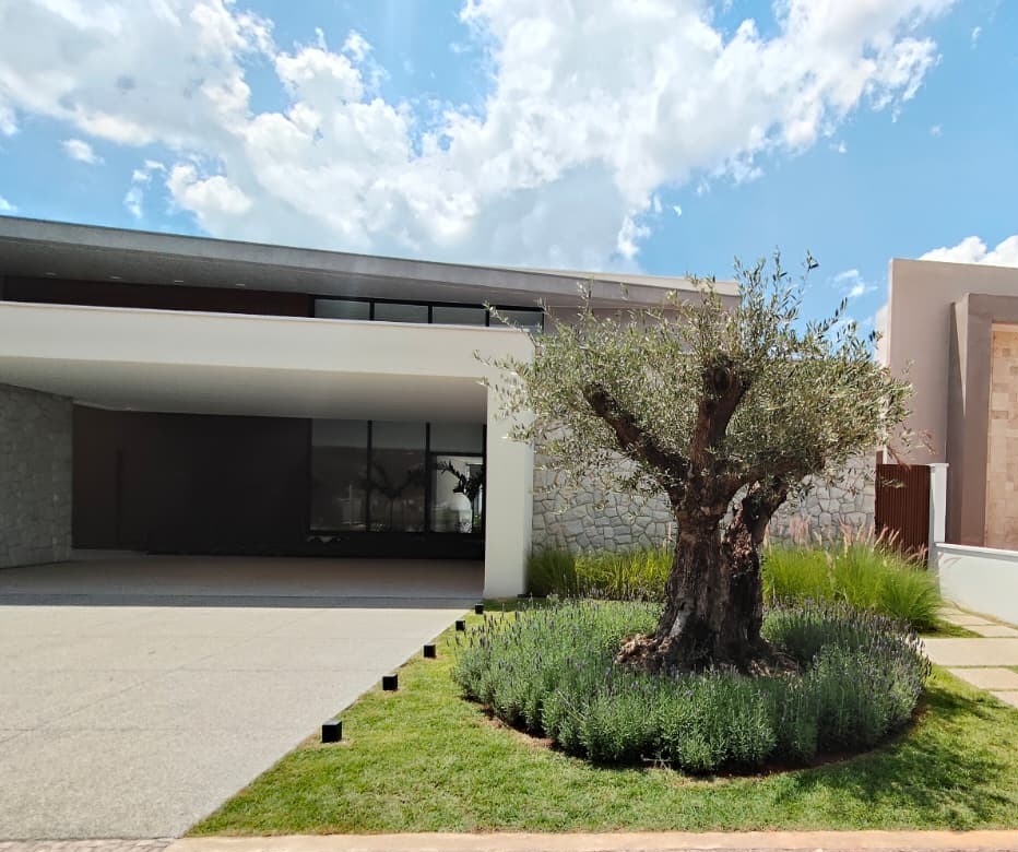 WhatsApp Image 2025-11-26 at 18.17.00