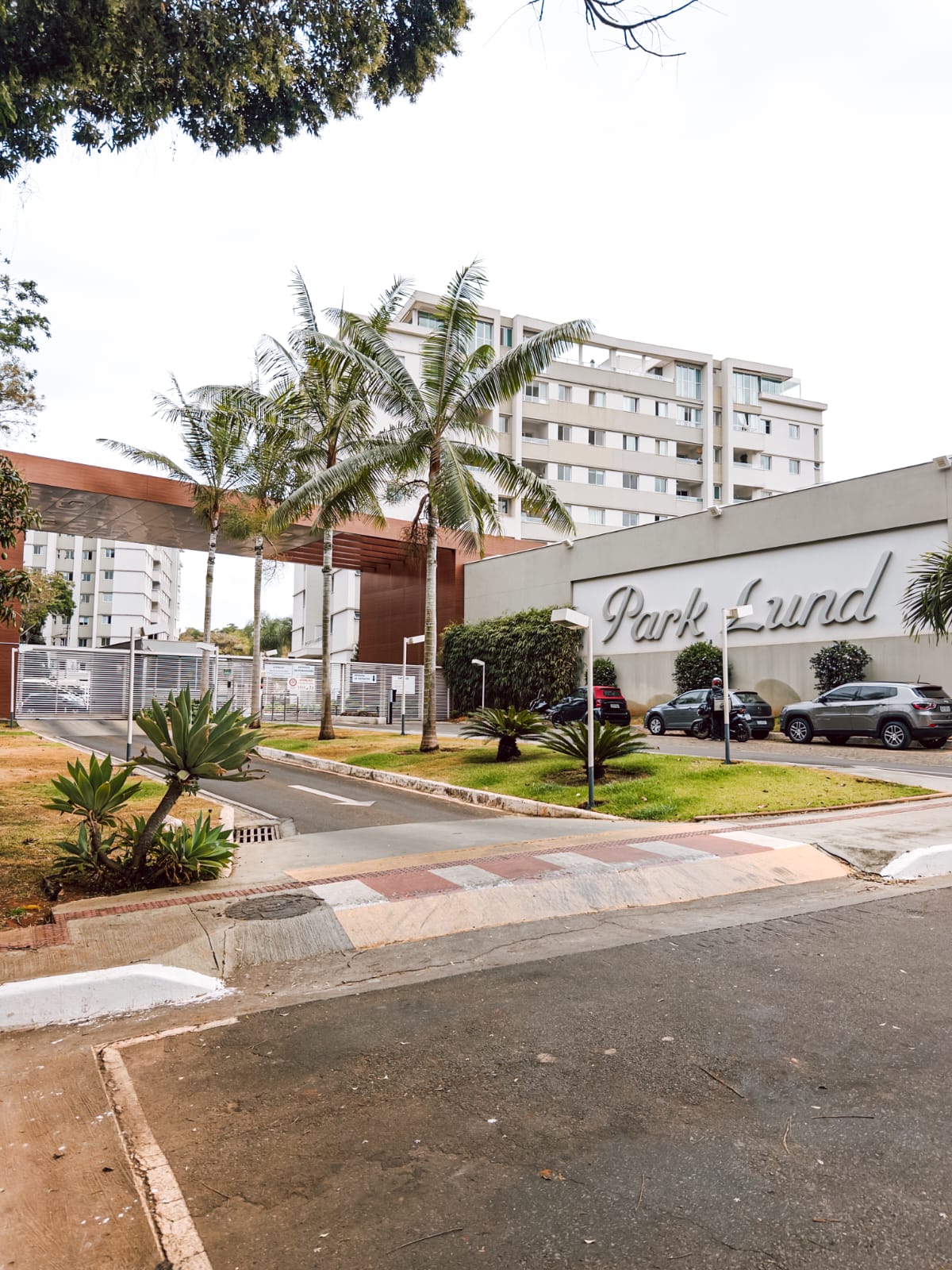 WhatsApp Image 2026-02-06 at 12.03.28 (3)