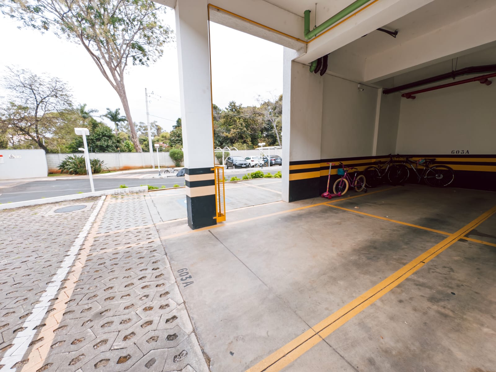 WhatsApp Image 2026-02-06 at 12.03.28 (4)