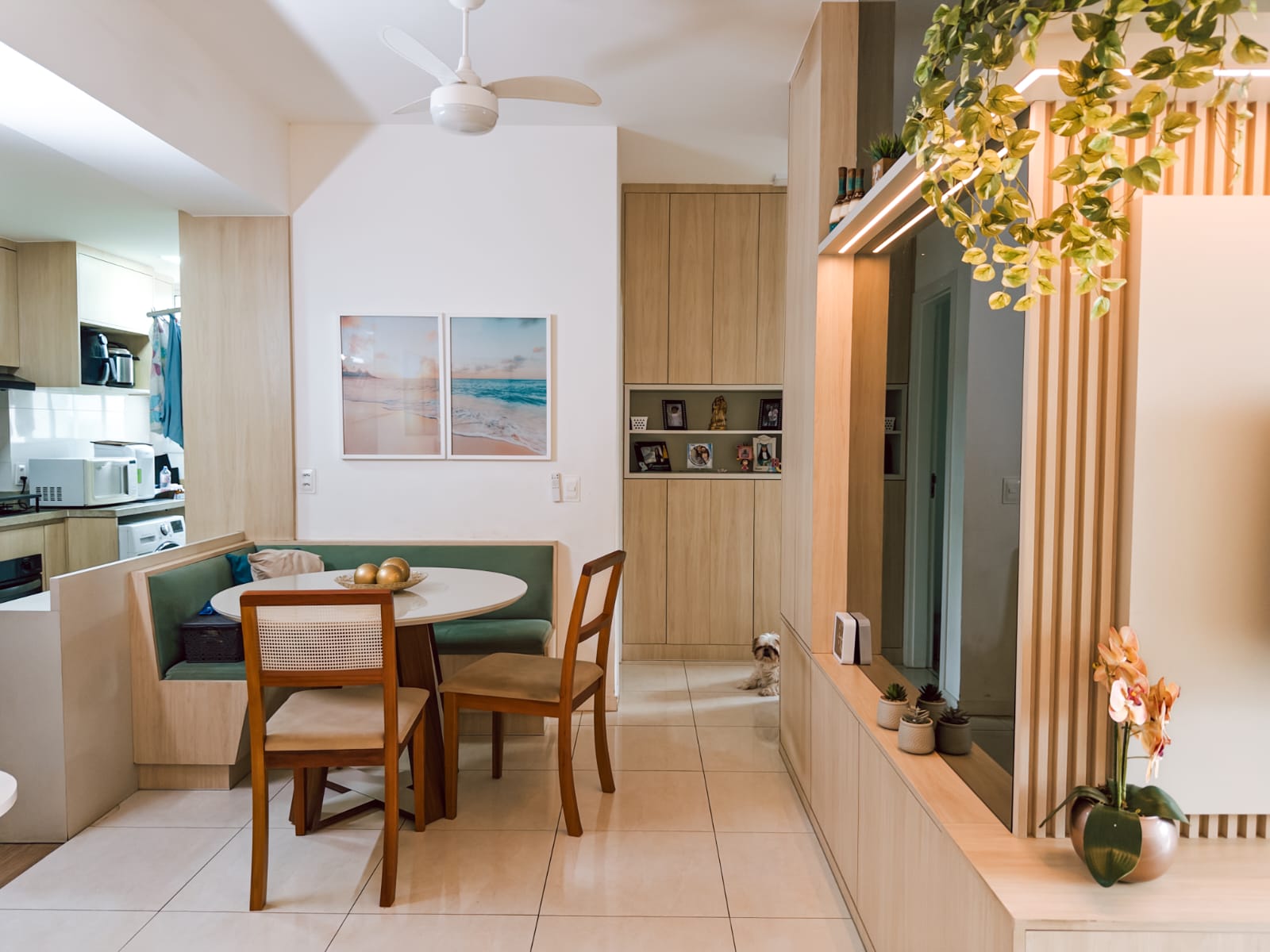 WhatsApp Image 2026-02-06 at 12.03.30 (2)