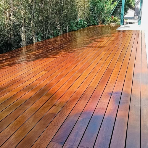 496711686_17877389025321302_7030222809113139027_n.