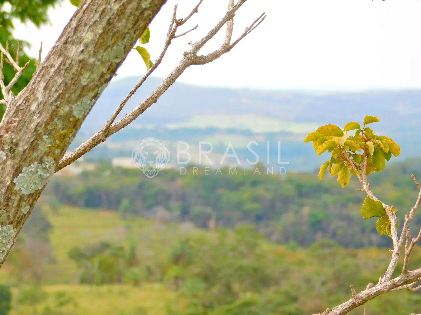Lote Terra Vista – Brasil Dream Land Lote Terra Vista - Brasil Dream Land